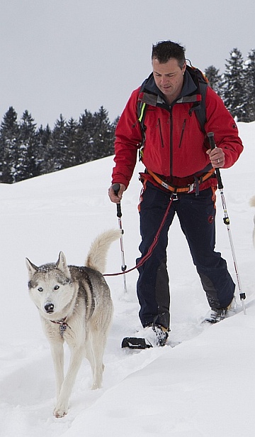 Husky Tracking mit Schneeschuhen