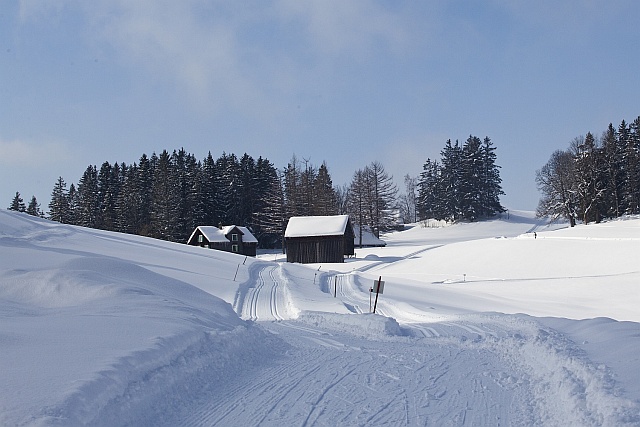 Cross-country skiing at Arvenbüel