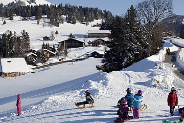 Schlitteln im Arvenbüel