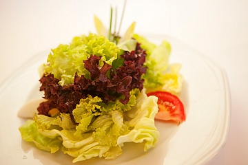 leaf salad with house dressing